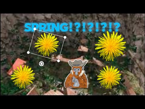SPRING UPDATE SHOWCASE!!!