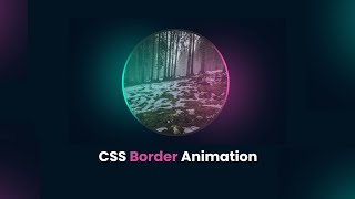 Border Animation CSS On Hover | Image Hover Effects