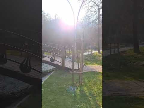 Stream Sound | Nature Sounds #streamsounds #naturesounds #asmr #asmrsounds