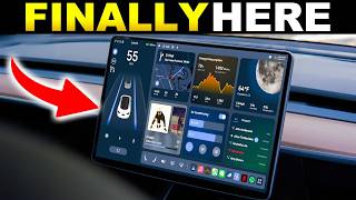SURPRISE Tesla Summer Update! | NEW Features Are HERE!