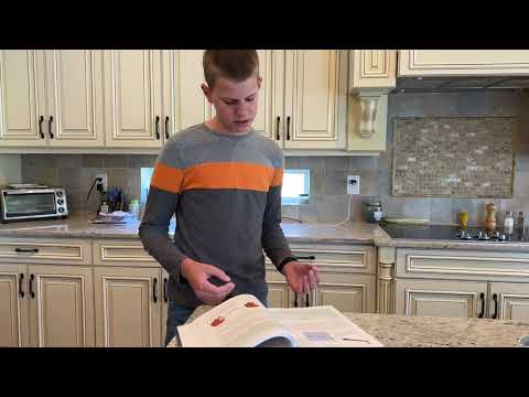Apologia Physical Science Experiment 15.4