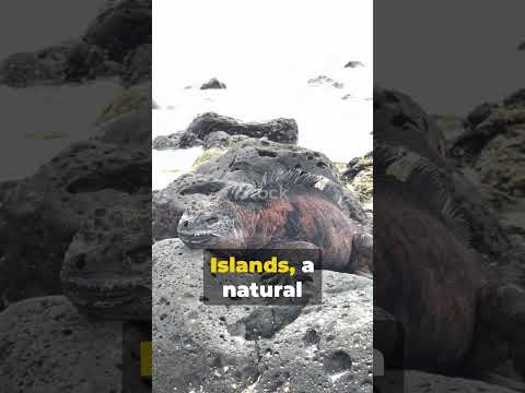 most beautiful places on earth part-4 #beautiful #places #on #earth