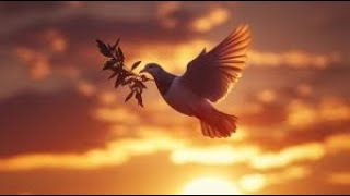 GOD'S UNCHANGING LOVE : The Impassable Nature of DIVINE AFFECTION