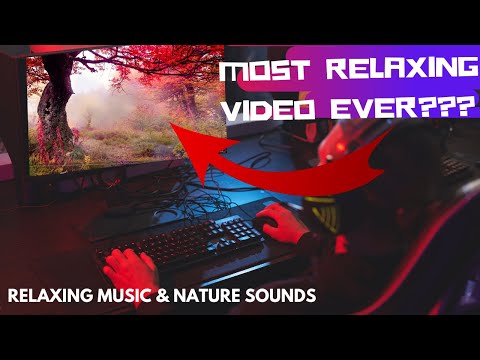 Autumn Forest Meditation: Relaxing Ambient Music and Birds Singing