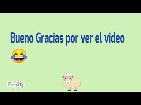Oveja reaccionando memes 🤣🐑