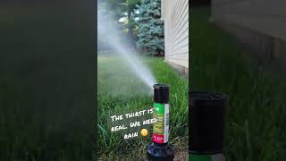 How To Make The Perfect DIY Sprinkler System At Home?