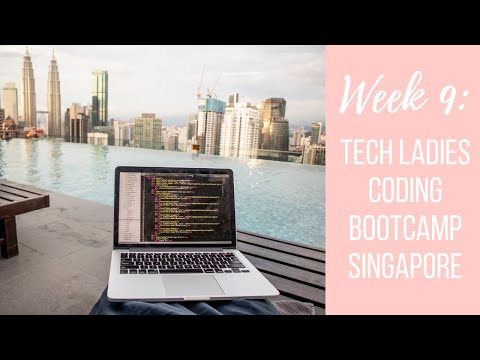 Coding Bootcamp Week 9! CSS Styling Tips You Must Know!