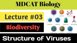 MDCAT-Biology Preparation Lecture #03 - BIODIVERSITY, Virus Structure, #biology #UHS entry test