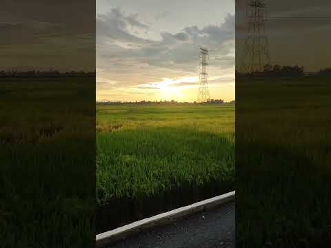 perlis malaysia