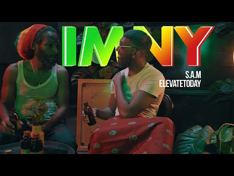 S.A.M & elevatetoday - I.M.N.Y (It's Me Not You)