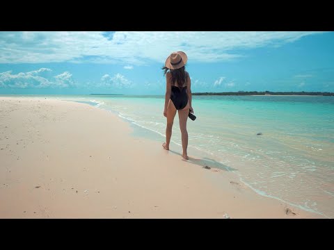 Chill & Relax Music for Studying | Lo-Fi Beats to Focus & Unwind