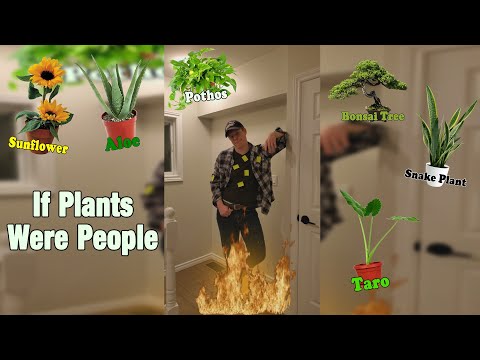 If Plants Were People