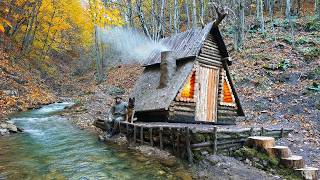 Off Grid Forest Life With My Dog | Building Our Cabin Far From People