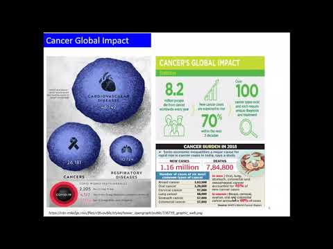 Multifunctional Magnetic Nanomaterials For Biomedical Applications - Dr. Niroj Kumar Sahu