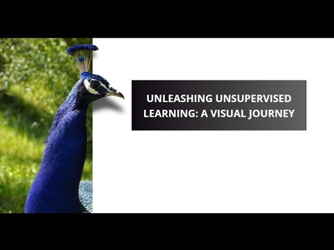 Unleashing Unsupervised Learning A Data Science Animation