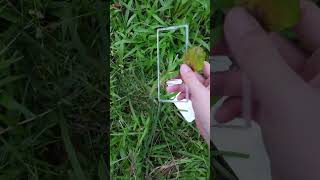 Let's Play hide & seek Samsung S25 ultra vs iPhone 11 😂🔥