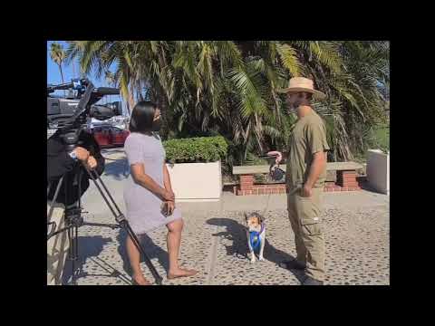 Jason Robo censored NBC7 interview by Dana Griffin on "racist" Aunt Jemima SD Supes allegations
