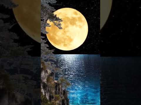 BGMI Status... #goodmornige  good morning #shorts