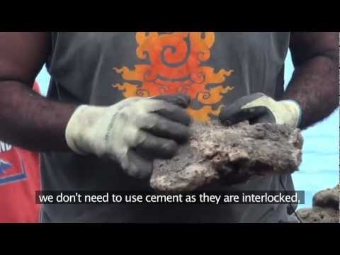 Building a Dry Stone Wall for Erosion Protection - Manus Island, PNG