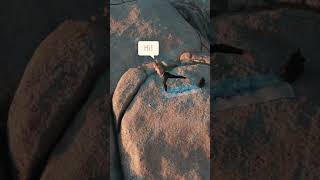 Five ways to say hello in English