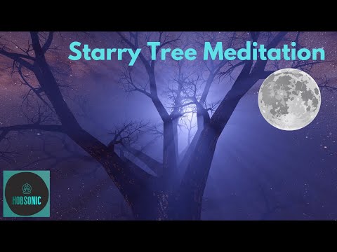 Forest Moon Meditation: Find Peace and Serenity under the Stars with Binaural Music 🌘✨
