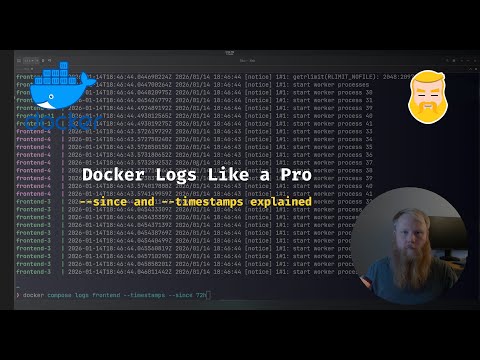 Docker Logs Like a Pro – --since & --timestamps Explained