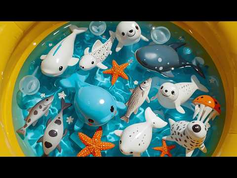 Arctic Learning for Kids | White Bear & Arctic Fox | Educational Videos for Toddlers