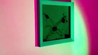 #00FF00 #FF00FF (people are trees) 2018-2019