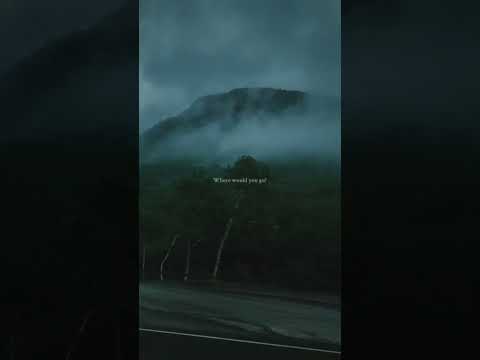 #trending #octopus #subscribe #viral