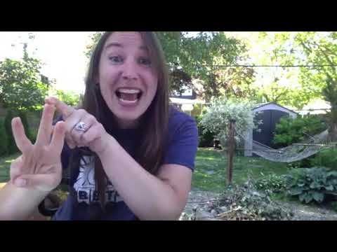 Summer Circle Time: Gymnastics