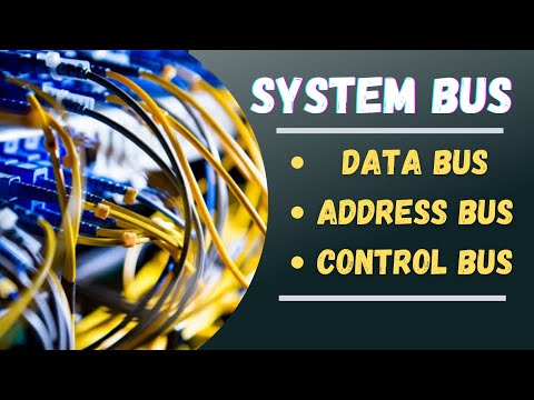 System Bus || Data bus || Address bus || Control bus || Computer organisation and architecture