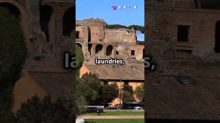 Strange Roman Laundry Facts😱🤢 #historyfacts #romanhistory #laundry