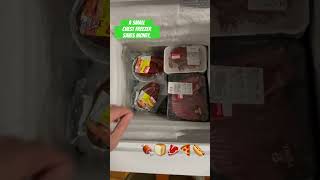 Small Chest Freezer Saves Money