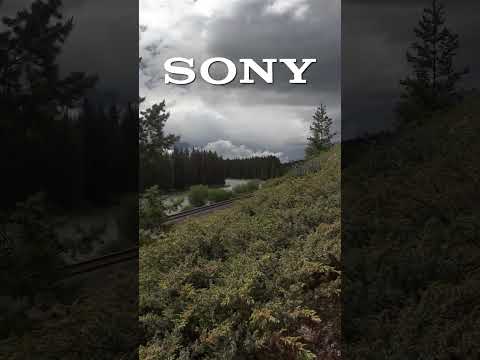 An Honest Comparison With No Bias #videography