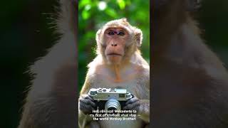 1st ai vlog ll #ai #video #creation,#ai video #maker,ai #video #editing #tools,free  #viralshorts