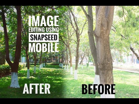Image Editing using Snapseed Mobile | MANOJ DHINAGAR |