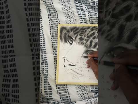 #tigerdrawing #tiger #artdrawing #pencilsketch #fypシ #drawing #pencilart#artist #draw