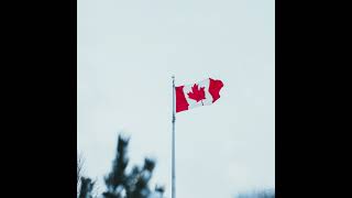 Immigration Canada delays creating unnecessary hurdles for new immigrants