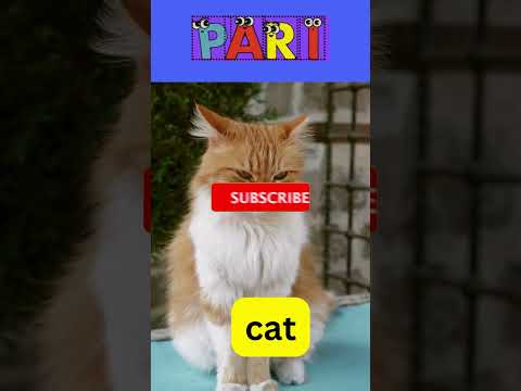 Alphabet C #LetterC #Cforkids #Learningalphabet #Kidseducation #Cat  #Car #Cow #atoz #Castle #Cloud