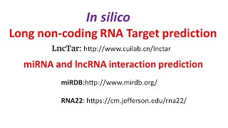 In silico Long non coding RNA target prediction | miRNA lncRNA interaction prediction|