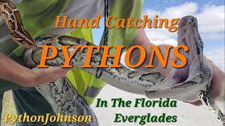 Python Hunting In The Florida Everglades - Ep.8