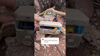 What is inside of a cache? Watch this to find out! 👀