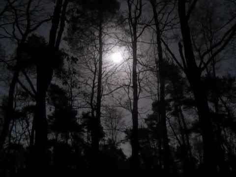 Moonlight Sonata - Beethoven
