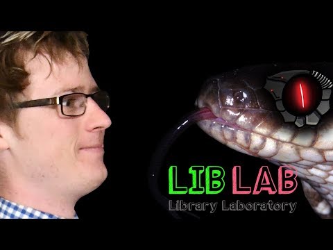 Snake robot? How does that work?