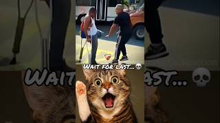bro's leg 💀 #cat #meme #funny #dance #technologia