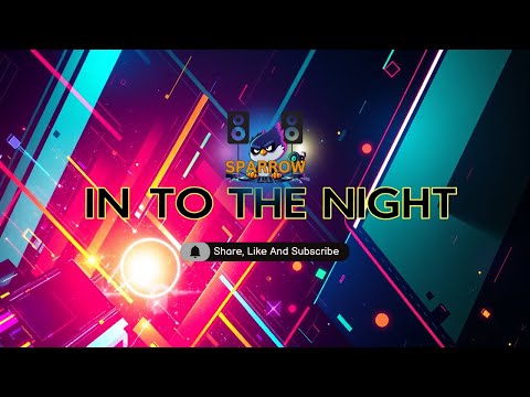 This EDM Audio Video Will Take You Into the Night!