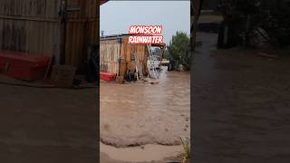 Monsoon Rainwater in Northern Arizona #offgridliving #Rainwater #northernarizona