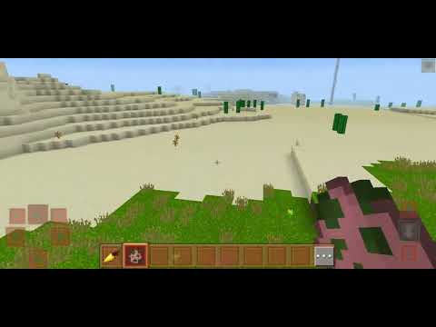 Mind craft  6(4)
