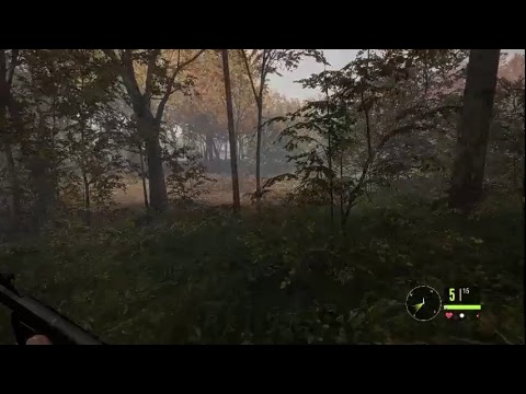call of the wild