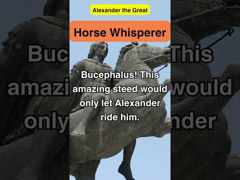 The Legend Behind Alexander the Great's Untameable Steed #history #historyfacts #alexanderthegreat